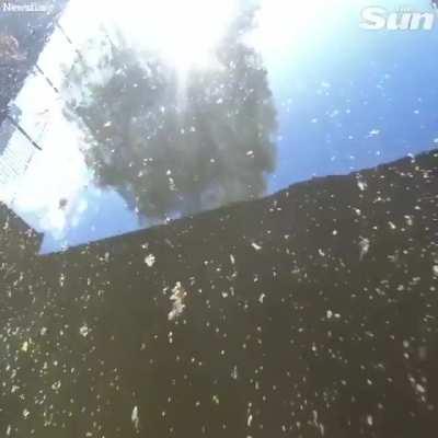 If crashing another cyclist was not enough... then the river!