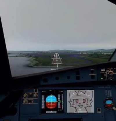 GUYS MY FLIGHT INSTRUMENTS ARE MALFUNCTIONING I AM POSTING THIS AS I APPROACH THE RUNWAY 