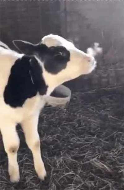 I still do exactly this