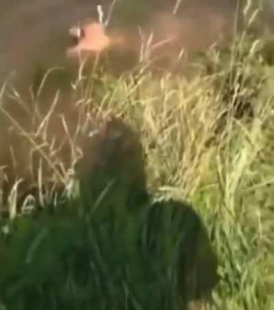 Russian torpedo in action