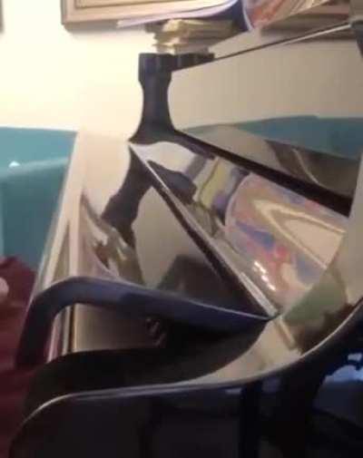 BeelcitosMemes - Video #5297