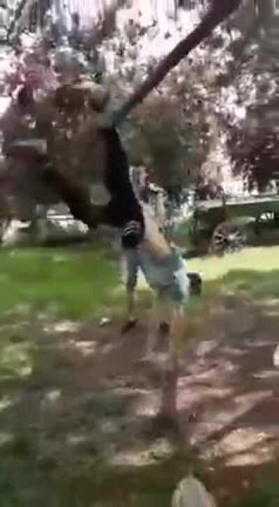 Playing on a Tree WCGW