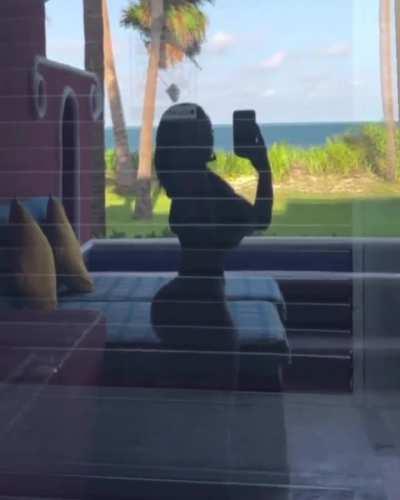 Trapezoidmouth2 - Video #8729