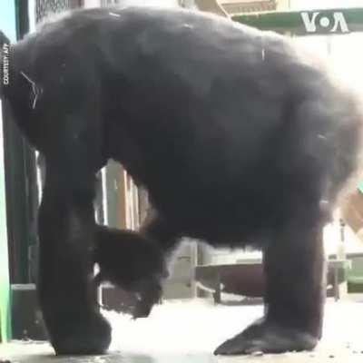 Scratch and Sniff (r/funny)