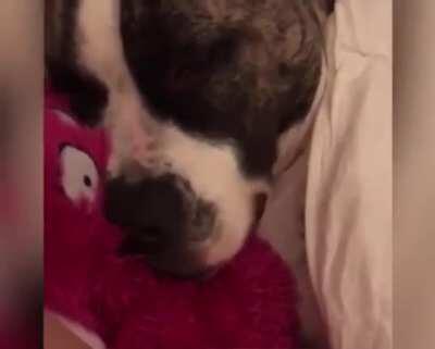 n da pra ter paz e sossego nessa casa