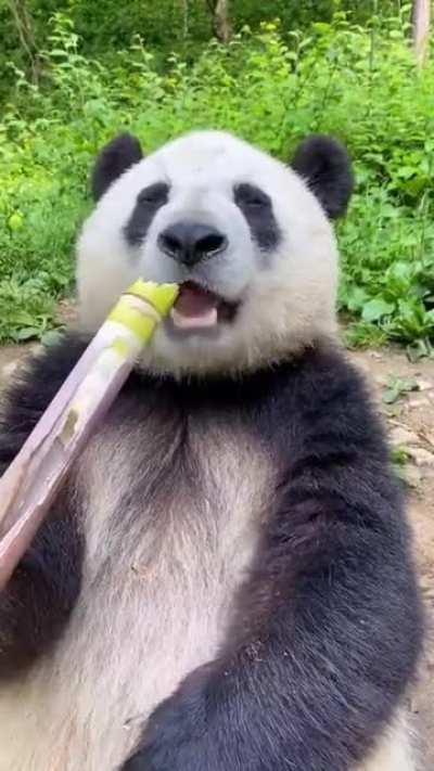 Time to eat? Looks delicious