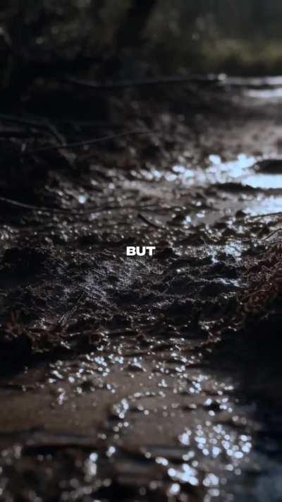 You ate it: evil Haitian cupcake