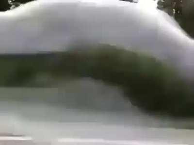 definitely i am gonna try this!