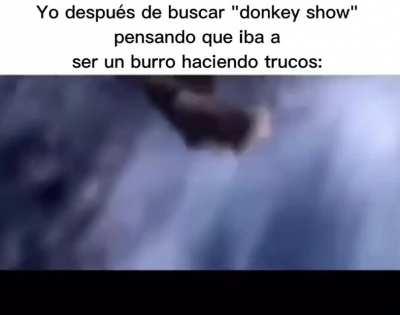 No busquen nada de lo que sospechan un poco