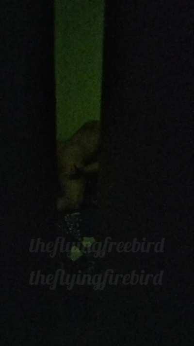 While I was at work, my college friend dropped by our house to crash and only my wife was there. Upon my return, their behavior seemed kinda sus. After dinner, we went to bed. At around 2 a.m when i woke up to use the restroom, my wife was not beside me a