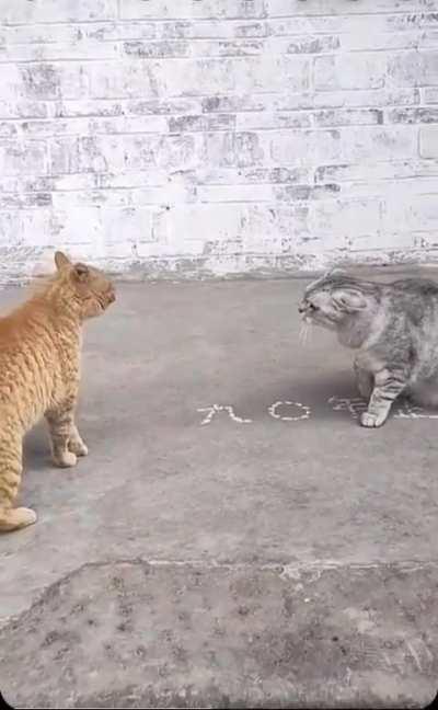 Bro was holding back tears 