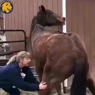 Errrrmmmm?????? 😬😬😬😬