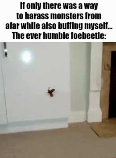 Thank you kinsects, very cool