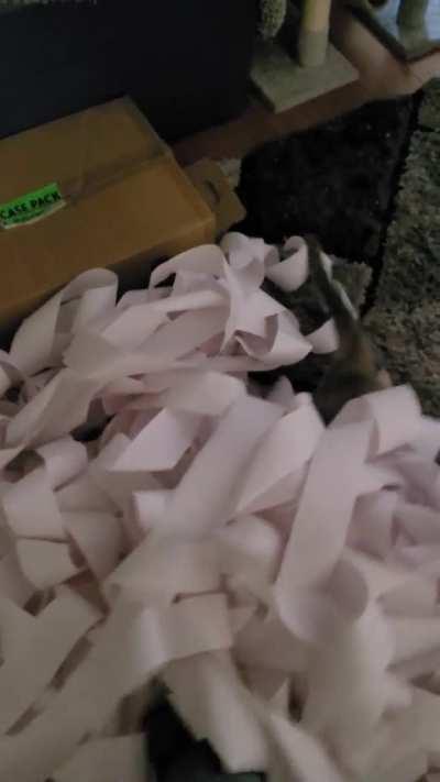 Ordered the wrong calculator paper, found a great way to utilize it.