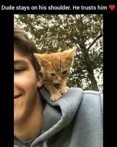 The growth of true love