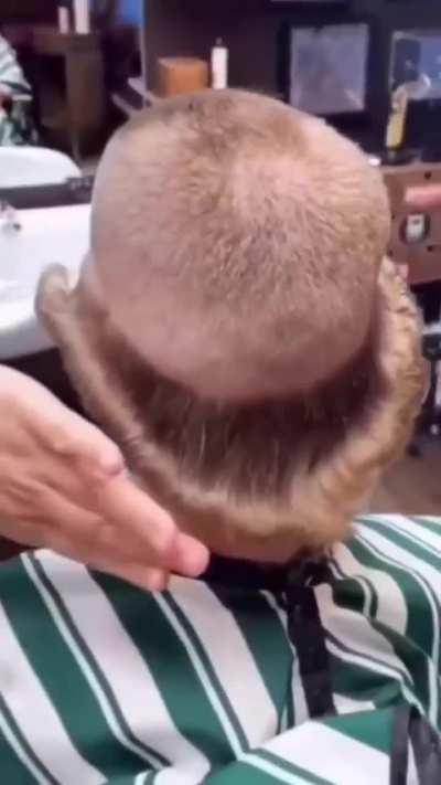 First time in barbershop..