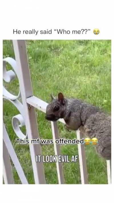 dude was flabbergasted