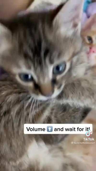 I found the cutest video ever