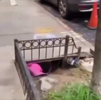 most normal individuals in NYC