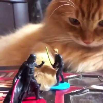 May the 4th be with you