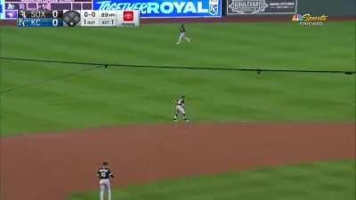 [Highlight] Leury Garcia catches a ball in a perfectly normal, routine manner