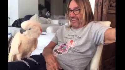 “It’s a bird song”