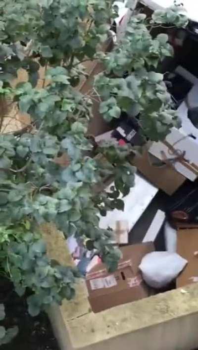 Not using the parking brake