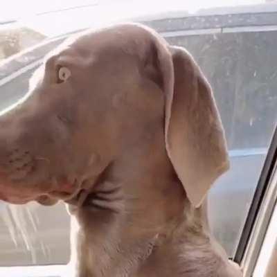 This made me laugh trying not to sleep lol