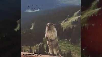 وقتی میخوای ویدئو اریا رو ببینی ولی vpn وصل نمیشه 🤣🤣 ((بهتره با صدای کم گوش بدید))