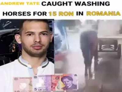 andrew tate washing horse in romania?!?!?!