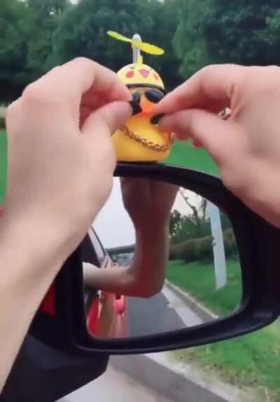 Born to be Wild.....