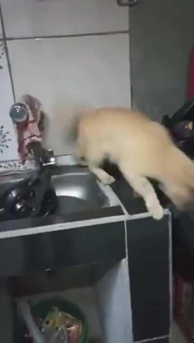 Step aside fellas, professional coming through.