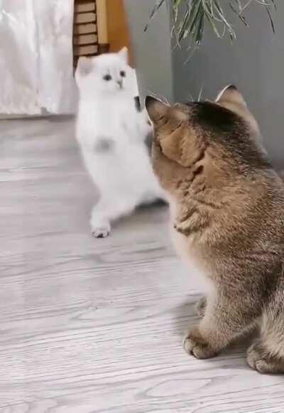 Ima sneak up on you, no no... I'm good