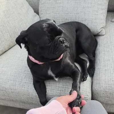 Hand Holding & Bug Catching Benjamin