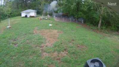 lightning struck the solar panel/6v battery powering my electric chicken fence. thought you might find it interesting.