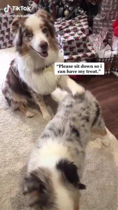 the wink at the end!