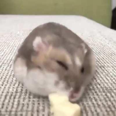 He knows the way, the cute way