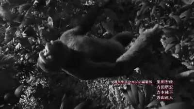 Me and the boys when Domestic Kanojo comes on