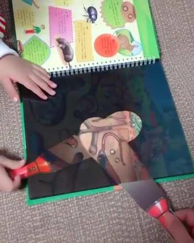 Flashlight illusion within a children’s book 🔦