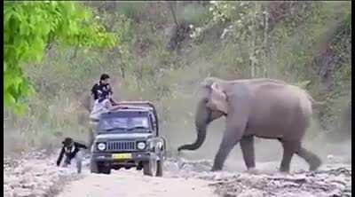 It was just a prank, bro!