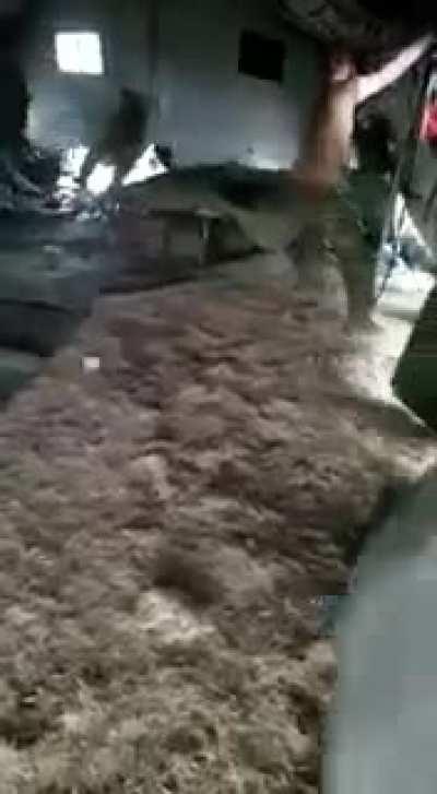 It got very windy in Wainwright yesterday. Centurion Field 18.5.21