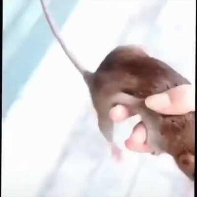 POV: You are the ghost kid from the comics