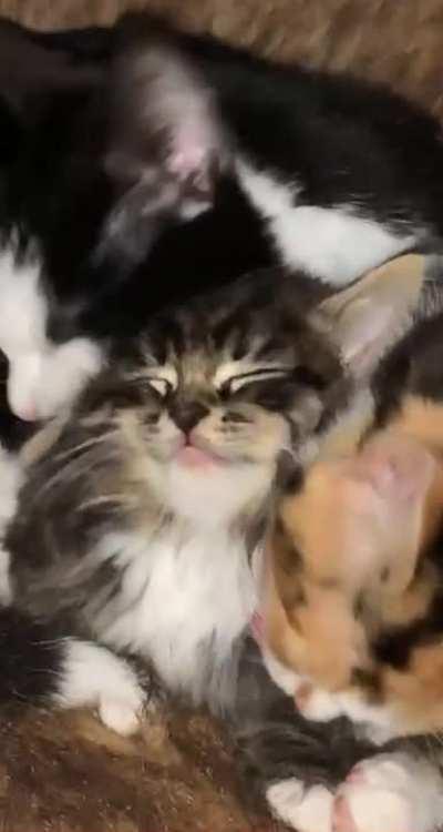 They love him so much