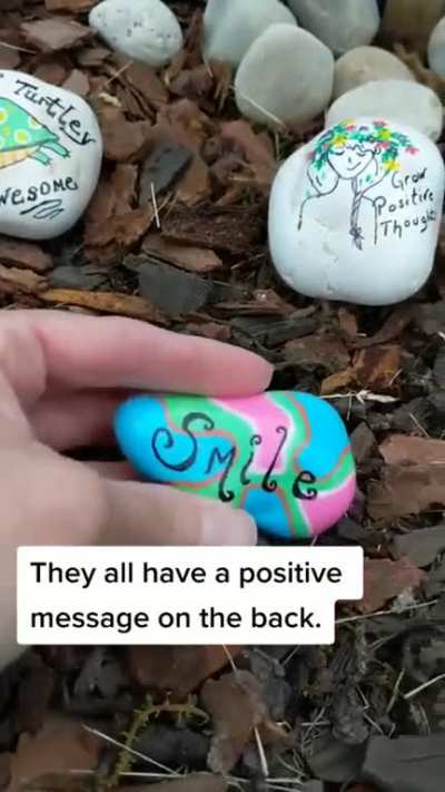 I found this on TikTok and thought it was a REALLY great idea! (@rocksbymisty on TimTok)