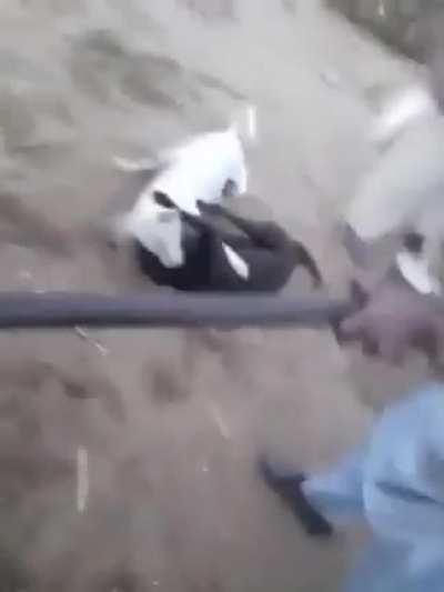 ah.... the definition of chaos