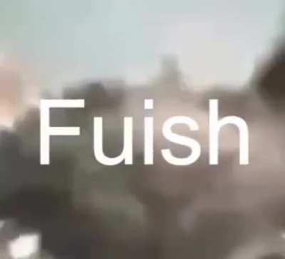 Te amo cangrejo selfiri