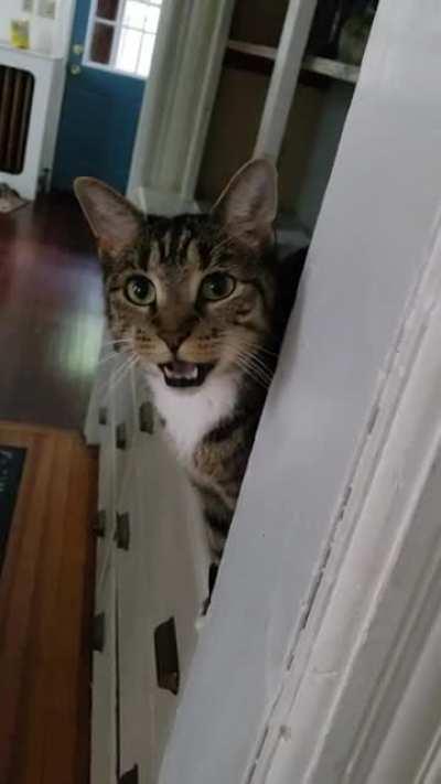 She's a little squeaker, sometimes she has to build up to it 🤣