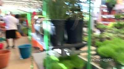 Just looking for some plants to grow🌱 [F]