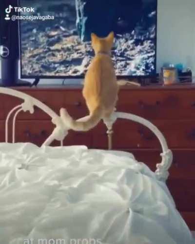 nao faça isso monkaW