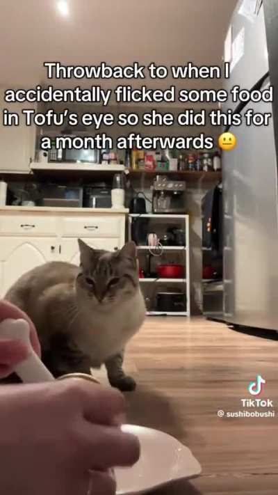 It took a while for the cat to recover from the trauma